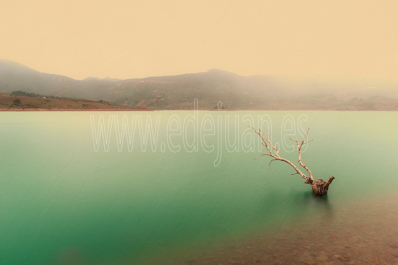Fotografía del Pantano de Zahara de la Sierra, una orilla con un árbol seco.
