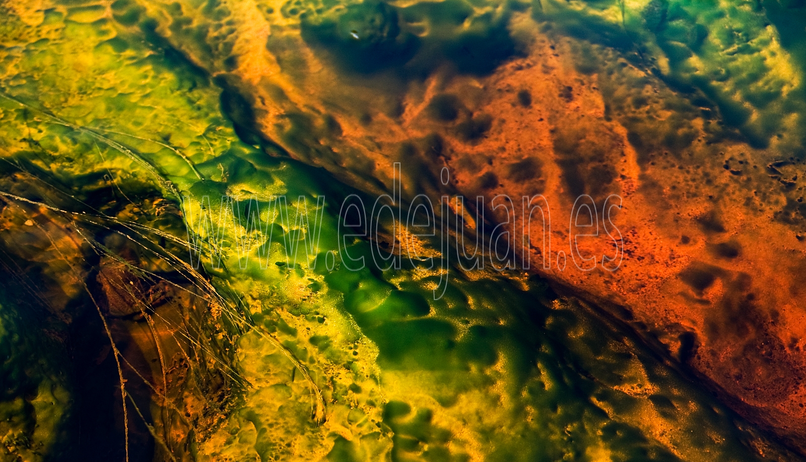 Texturas y colores en el Río Tinto, fotografía de acercamiento con cierto aire abstracto. 
Minas de Riontinto, Huelva.